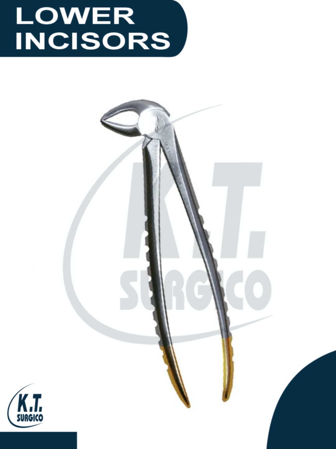 Lower incisor extraction forceps dental instrument for anterior tooth removal